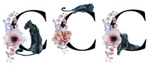  Floral Watercolor Alphabet. Monogram Initial Letter C Design With Hand Drawn Peony And Anemone Flower  And Black Panther 
