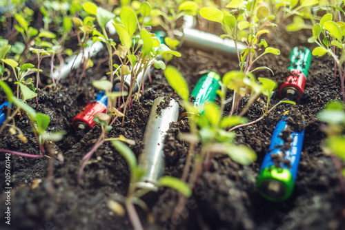 Used Alkaline Batteries Lie In The Soil Where Plants Grow Concept Used Alkaline Batteries Lie In The Soil Where Plants Grow Concept Of Environmental Pollution With