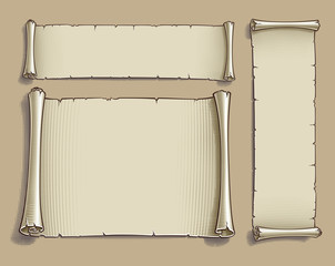 Wall Mural - Three Engraved Cartoon Scrolls