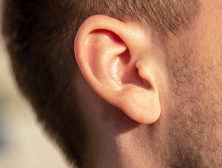 Human ear closeup