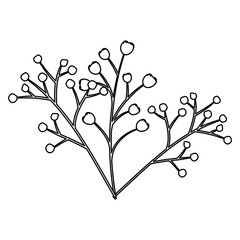 Canvas Print - branch with seeds natural icon vector illustration design