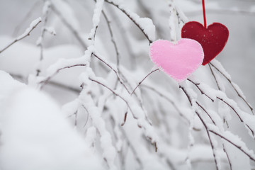 Red hearts on snowy tree branch in winter. Holidays happy valentines day celebration heart love concept.