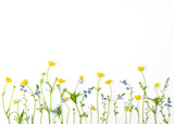Meadow flowers with field buttercups and pansies isolated on white background. Top view with copy space. Flat lay.