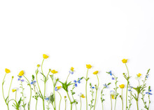 Meadow Flowers With Field Buttercups And Pansies Isolated On White Background. Top View With Copy Space. Flat Lay.