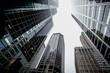 © perous - Skyscrapers in Chicago