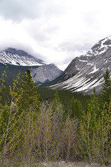 Valley between two Mountains