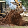 Excavator digging up tree stump