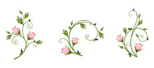 Set Of Vector Decorative Elements With Pink Rosebuds Isolated On A White Background.