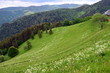 Berge in Täler im Schwarzwald