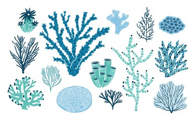 Wall Mural - Bundle of various corals and seaweed or algae isolated on white background. Set of blue and green underwater species, marine creatures, sea or ocean flora and fauna. Flat colorful vector illustration.