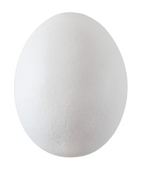 egg white one whole isolated on white background with clipping path