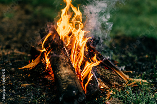 Fotografiet Burning firewood in outdoor summer camp on green abstract background