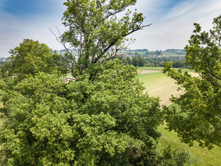 Sticker - Aerial view of forest in rural landscape in Switzerland on a warm summer day