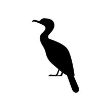 Great Cormorant Bird Icon