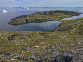 Wall Mural - coastline of Fogo Island with icebergs, Newfoundland