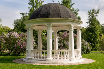 Beautiful white gazebo in a blooming spring Park