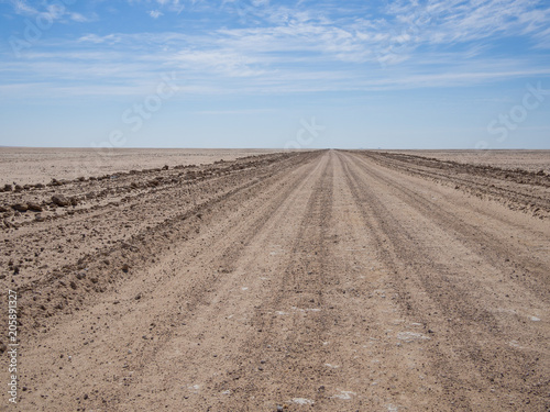 Fototapeta Niekończący się pusta droga gruntowa w Namib pustyni Namib-Naukluft park narodowy, Namibia, Afryka