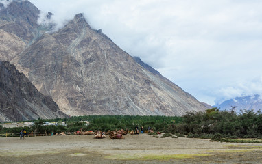 Wall Mural - Mountain scenery of Ladakh, India