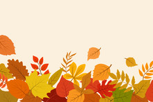 Fallen Gold And Red Autumn Leaves. October Nature Vector Abstract Background With Foliage Border