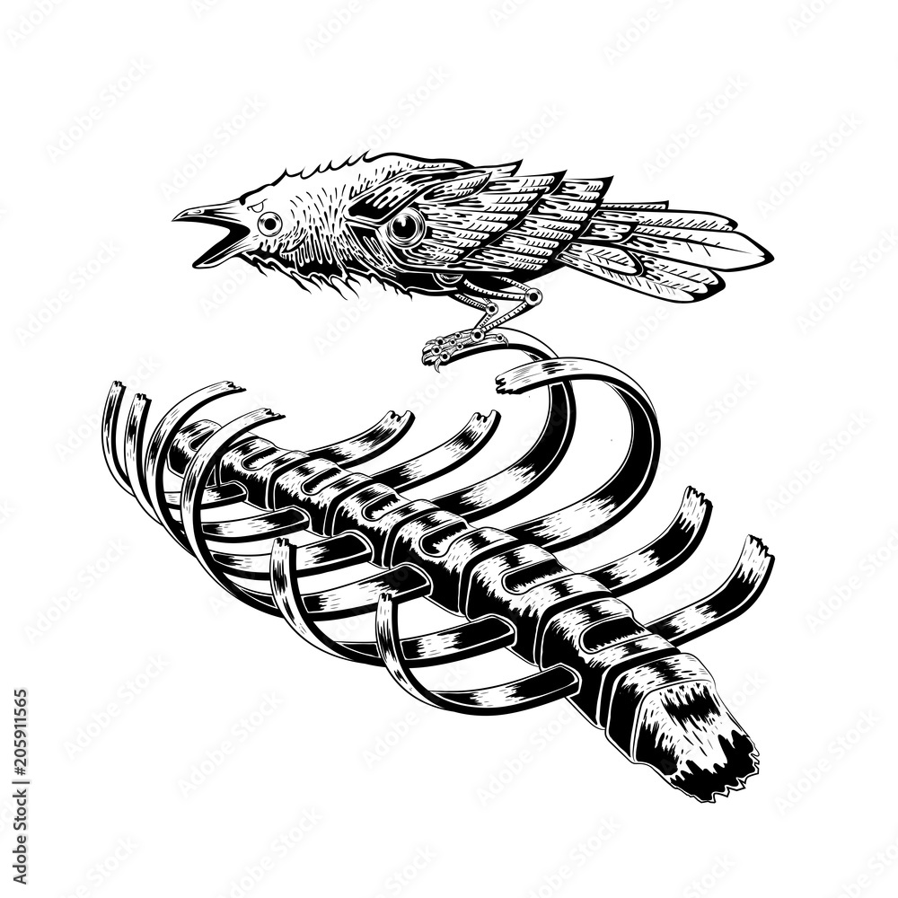 black raven bird stay on rib skeleton. crow bird. anatomy art. illustration  vector. tattoo design. Stock Vector | Adobe Stock, image size:1000x1000