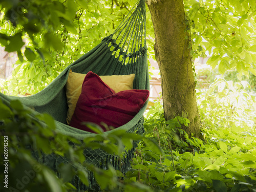 Photographie Hammock with two colourful cushions, suburbian garden scene