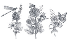 Set Of Three Vector Floral Bouquets With Black And White Hand Drawn Herbs, Wildflowers And Insects