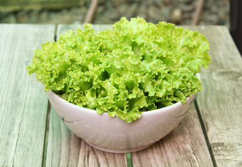 Wall Mural - fresh green lettuce in bowl, healthy green salad