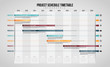 Project Schedule Timetable Infographic