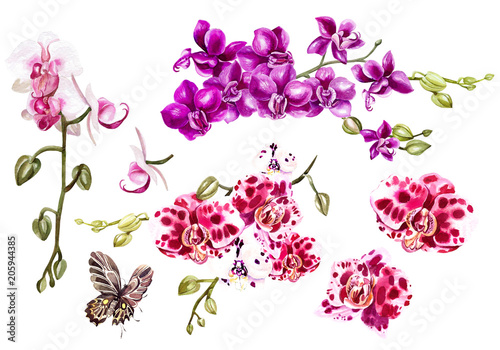 Watercolor set with different tropical orchids and  butterfly.