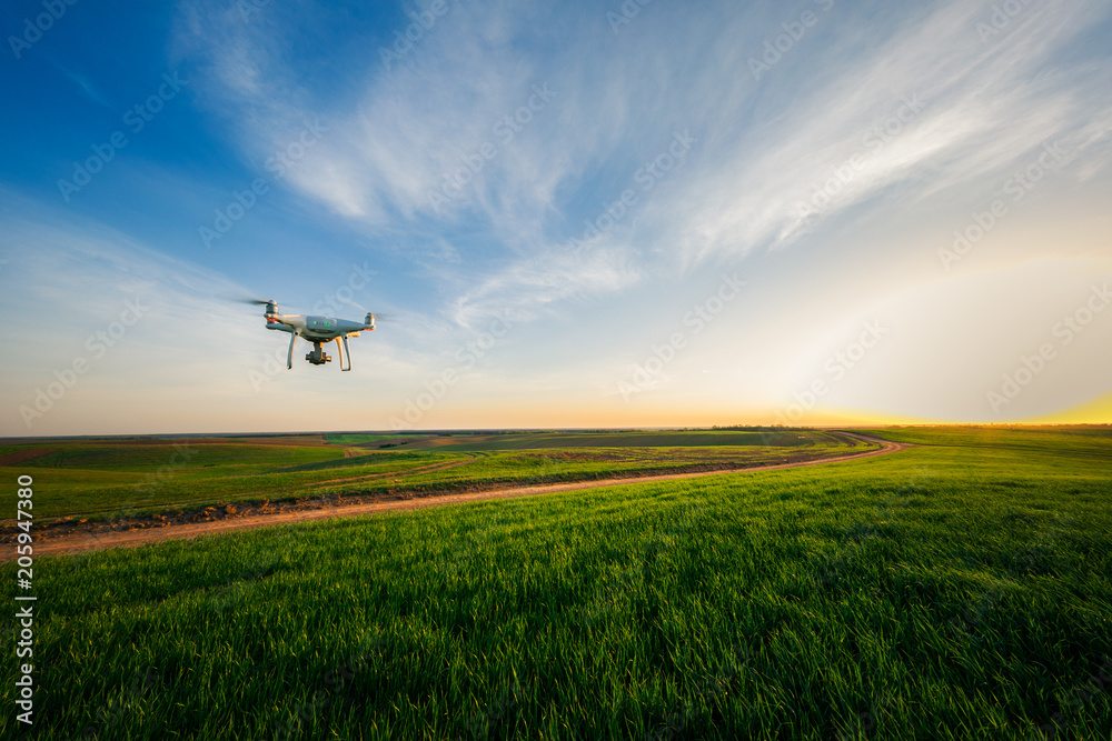 drone quad copter on green corn field Stock Photo | Adobe Stock