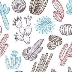 Poster - Floral seamless pattern. Illustrations of wild cactuses