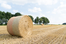 Golden Grain Field With Straw Bales