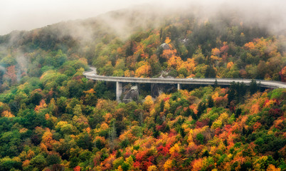 Wall Mural - A foggy Linn Cove Viaduct close up in Autumn taken from Rough Ridge trail on the Blue Ridge Parkway