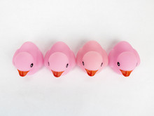 Four Pink Rubber Ducks As Viewed From Above On An Isolated White Background