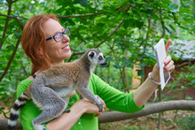 Woman Taking Photo Selfie With Ring Tailed Lemur