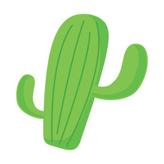 Canvas Print - cactus plant icon over white background, vector illustration