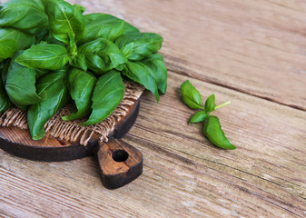 Fresh green basil