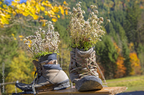 Wanderschuhe Herbst Malerisch Allgau Lustig Alpe Kaufen Sie Dieses Foto Und Finden Sie Ahnliche Bilder Auf Adobe Stock Adobe Stock