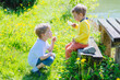 © Iryna - Cute blond sweden toddler boy in yellow shirt with his preschooler brother blowing dandelion flowers while sit in front of each other at summer time outdoors.