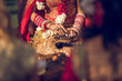© ADDICTIVE STOCK - Crop Hindu bride and groom