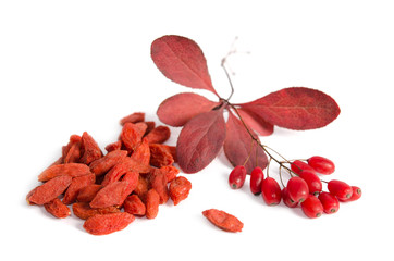 Canvas Print - Branch of ripe red barberries and dried goji berries isolated on white background