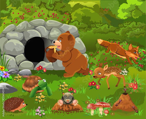 Cartoon Illustration Of Wild Animals Like Bear Deer Fox Turtle