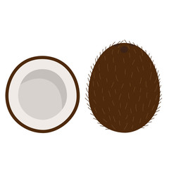 sweet whole coconut and cut coconut tropical exotic fruit brown white icon vector