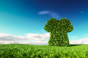 Wall Mural - eco friendly sustainable fair trade fashion concept. 3d rendering of t-shirt icon on fresh spring me