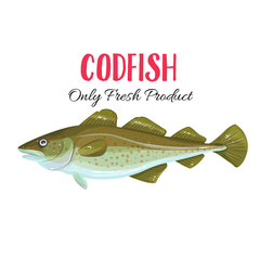 Poster - Vector codfish.