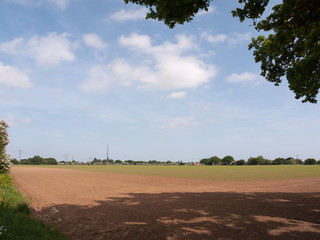 farmer's field landscape background sky spring nature agriculture