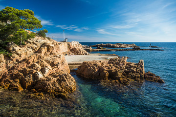 Fototapete - Landscape of Fornells beach in Costa Brava, Spain.
