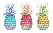 Watercolor Drawings Abstract Multicolored Pineapple Blue, Pink, Yellow On A White Background