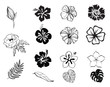 Silhouettes of flowers black and white isolated
