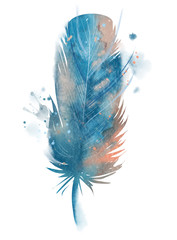 blue feather, watercolor